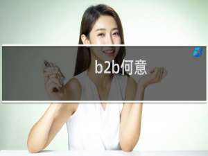 b2b何意