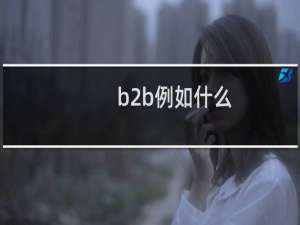 b2b例如什么
