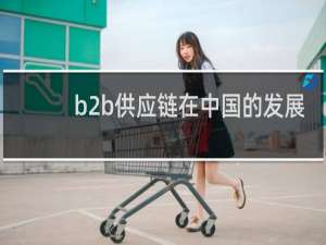 b2b供应链在中国的发展