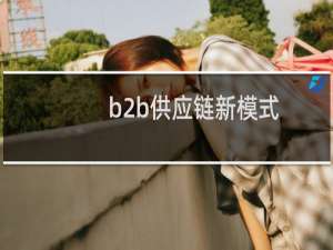 b2b供应链新模式