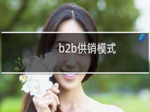 b2b供销模式
