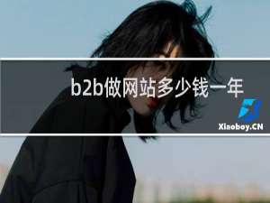 b2b做网站多少钱一年