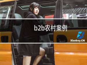 b2b农村案例