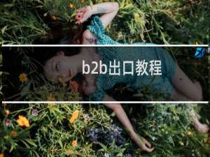 b2b出口教程