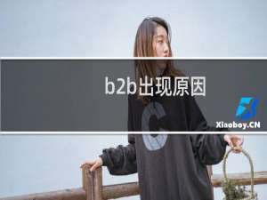 b2b出现原因