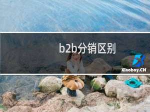 b2b分销区别