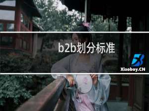 b2b划分标准