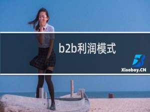b2b利润模式