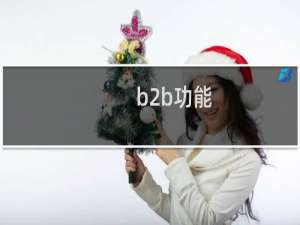 b2b功能