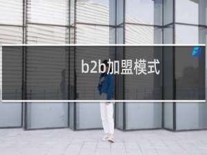 b2b加盟模式