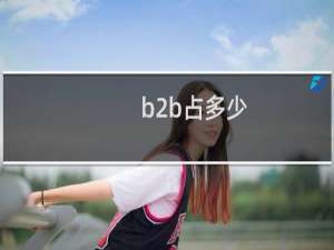 b2b占多少