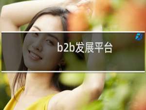 b2b发展平台