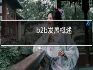 b2b发展概述