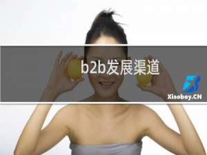 b2b发展渠道