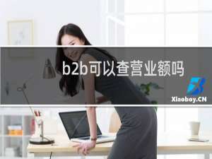 b2b可以查营业额吗