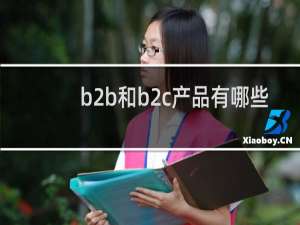 b2b和b2c产品有哪些