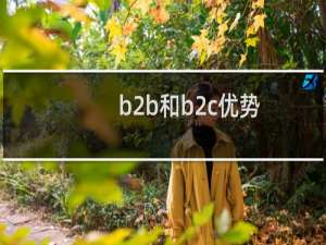 b2b和b2c优势