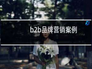 b2b品牌营销案例