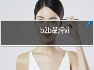 b2b品牌vi