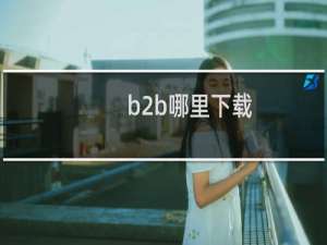 b2b哪里下载