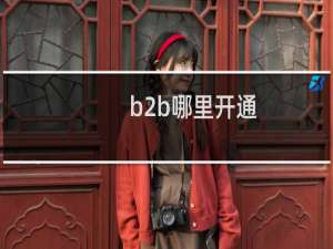 b2b哪里开通