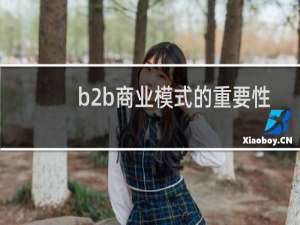 b2b商业模式的重要性