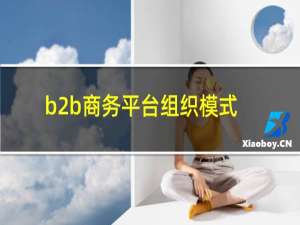 b2b商务平台组织模式