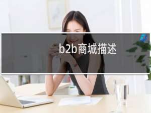 b2b商城描述