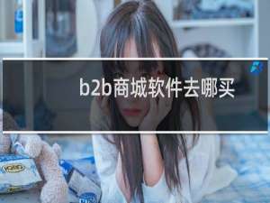 b2b商城软件去哪买