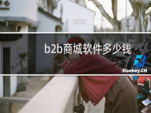 b2b商城软件多少钱
