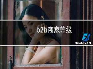 b2b商家等级
