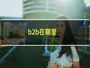 b2b在哪里