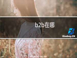 b2b在哪