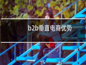 b2b垂直电商优势