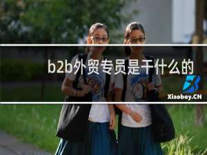 b2b外贸专员是干什么的