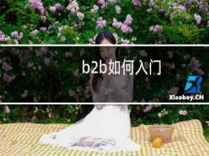 b2b如何入门