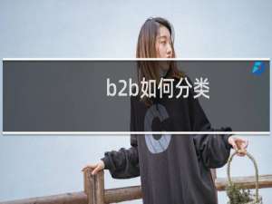 b2b如何分类
