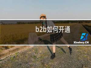 b2b如何开通
