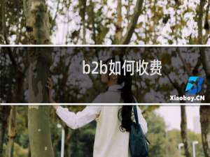 b2b如何收费