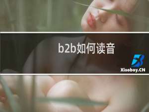 b2b如何读音