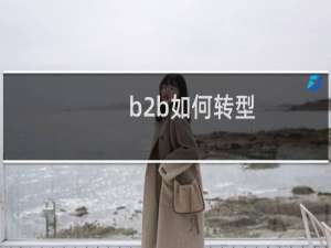 b2b如何转型