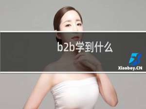 b2b学到什么