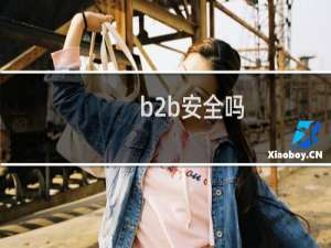 b2b安全吗