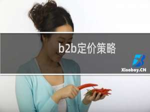 b2b定价策略