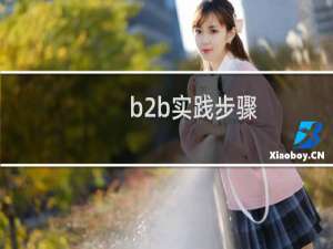 b2b实践步骤