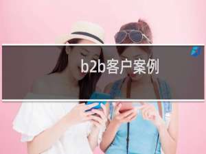 b2b客户案例