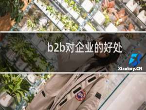 b2b对企业的好处
