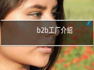 b2b工厂介绍