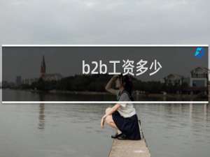b2b工资多少