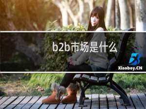 b2b市场是什么
